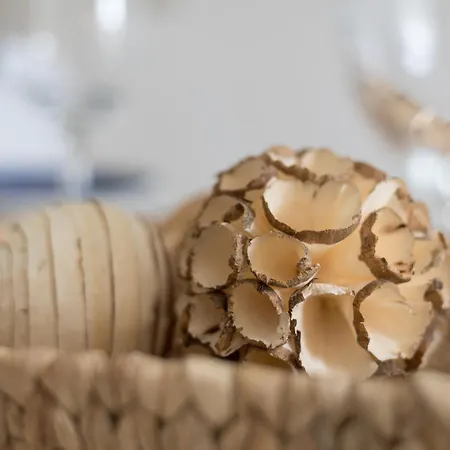 Home2book Bright & Comfy Pto Del Rosario