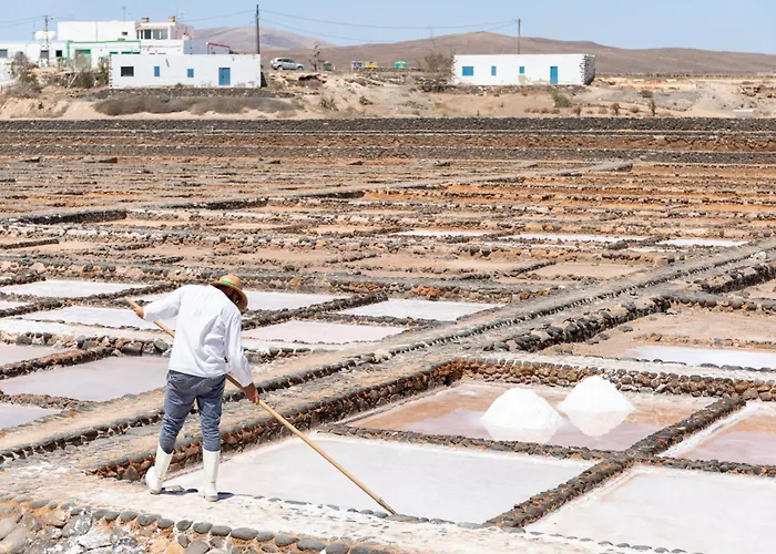 Home2book Bright & Comfy Pto Del Rosario شقة