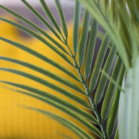 Ap House. Pto Del Rosario, Fuerteventura. *