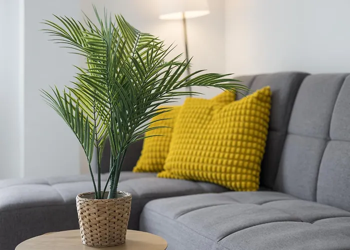 Home2book Bright & Comfy Pto Del Rosario Daire