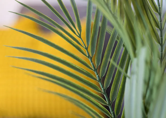 Home2book Bright & Comfy Pto Del Rosario *