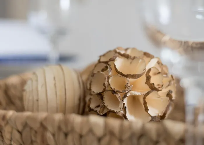 Home2book Bright & Comfy Pto Del Rosario