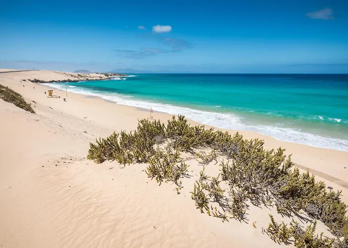 Daire Home2book Bright & Comfy Pto Del Rosario