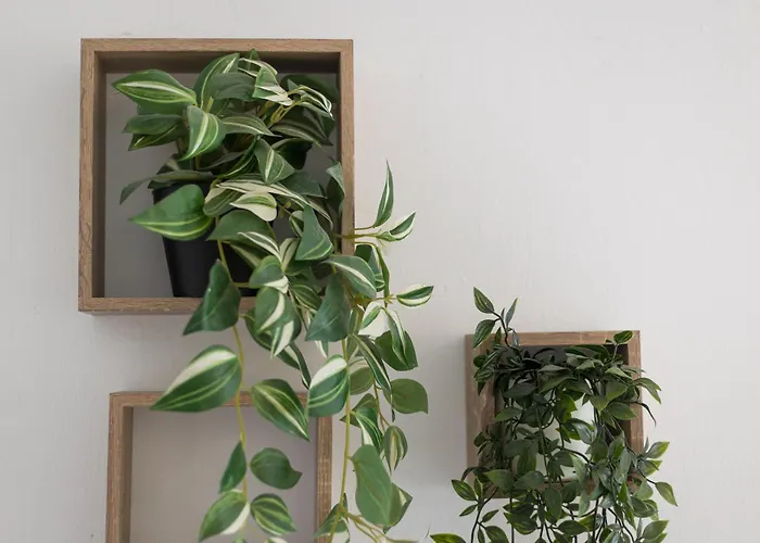 Home2book Bright & Comfy Pto Del Rosario Daire *