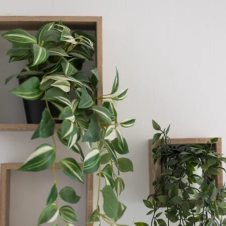 Home2book Bright & Comfy Pto Del Rosario Lägenhet *